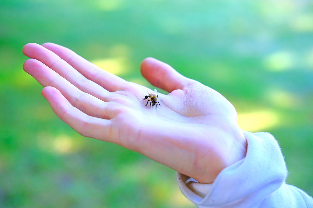 bee on hand