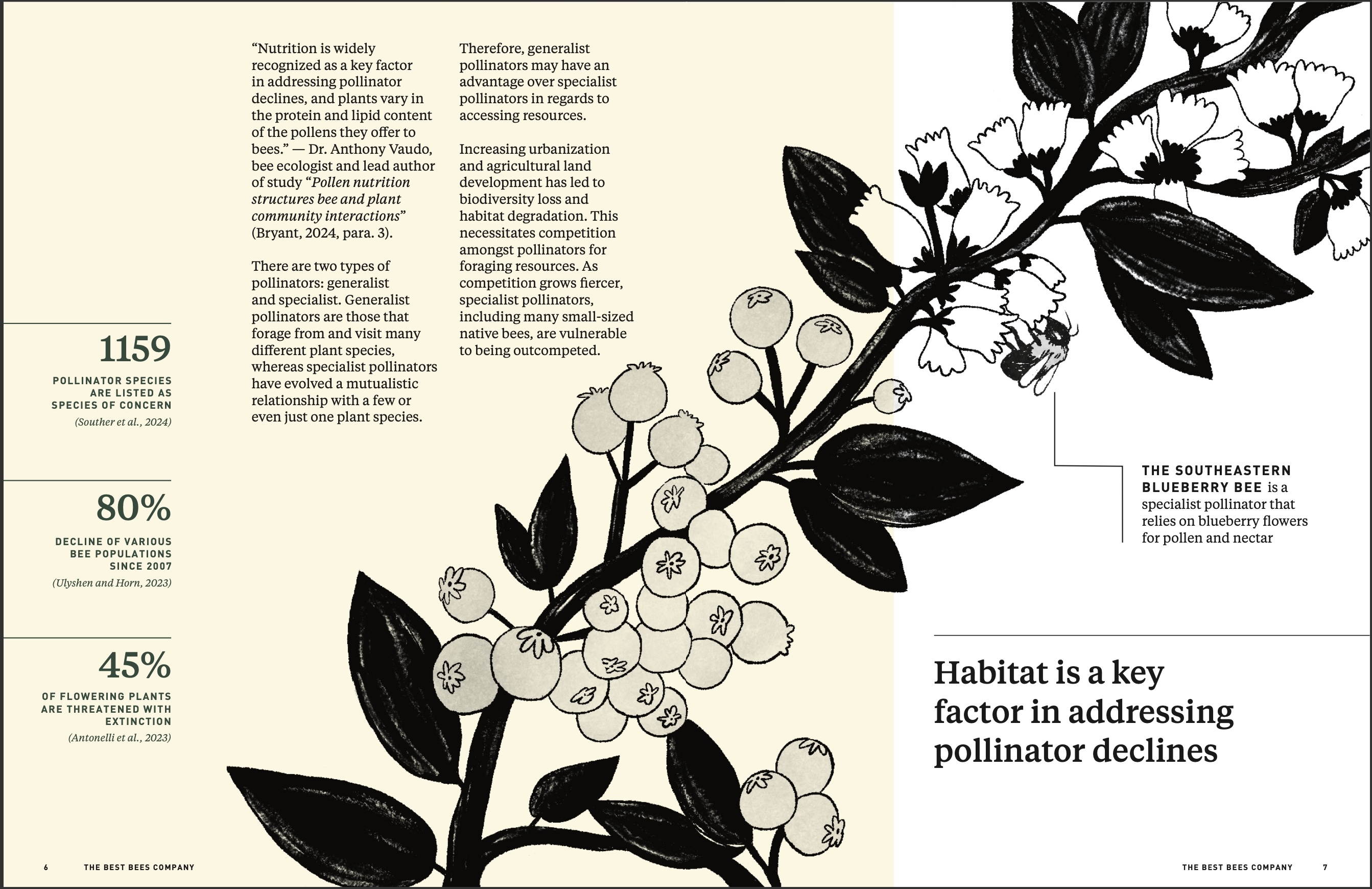Spread of inside of report