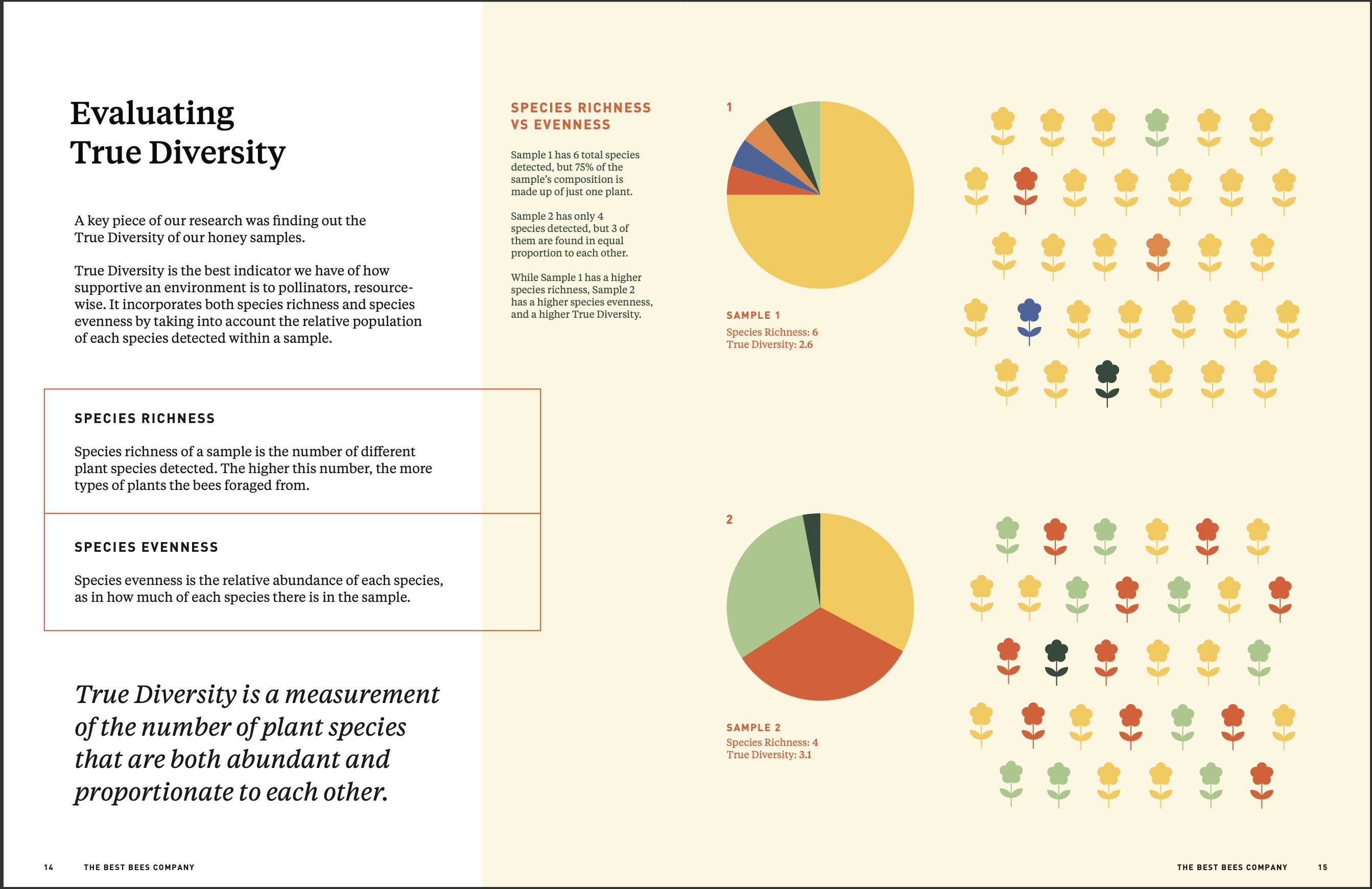 spread of inside of report