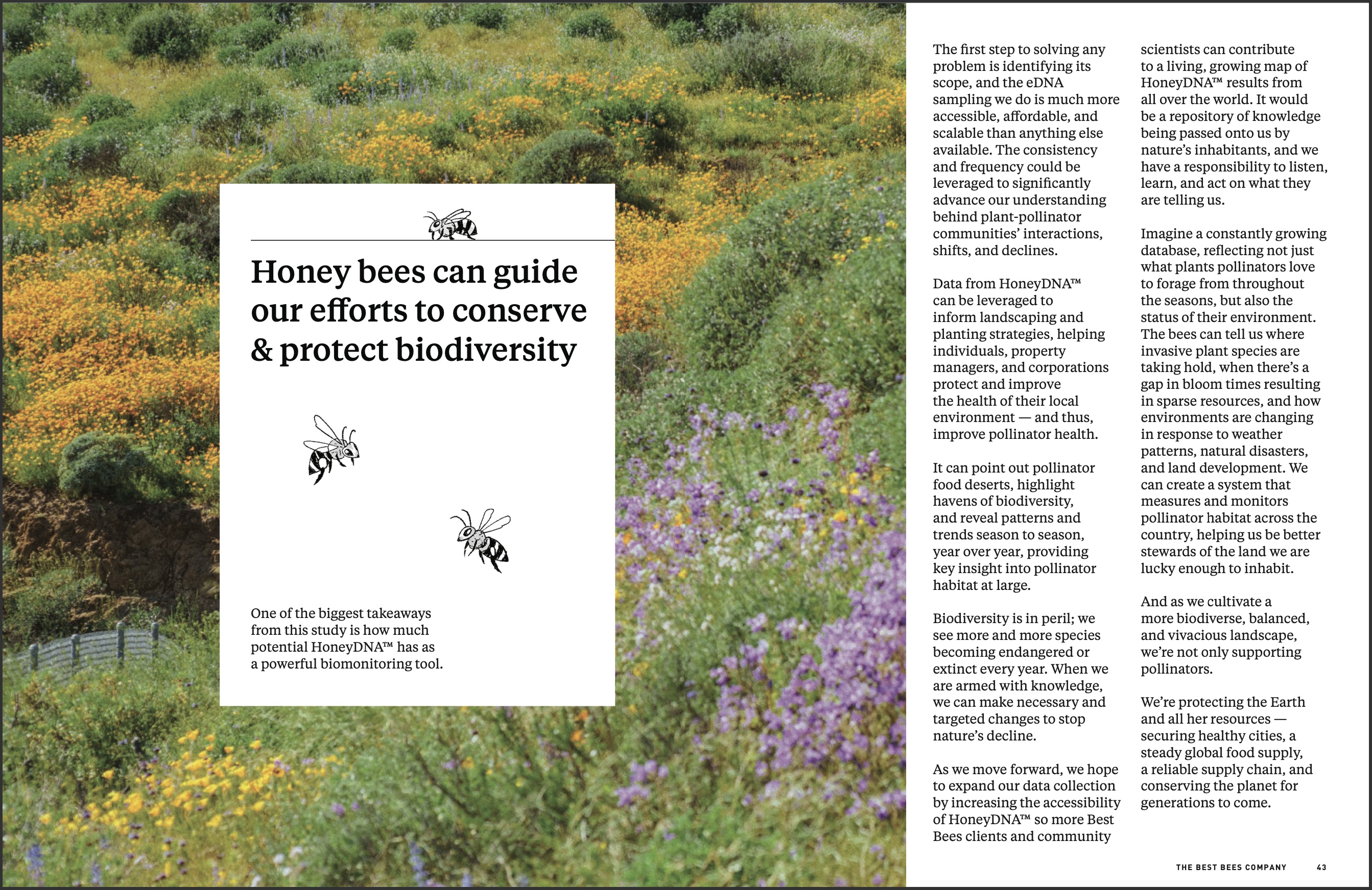 spread of inside of report