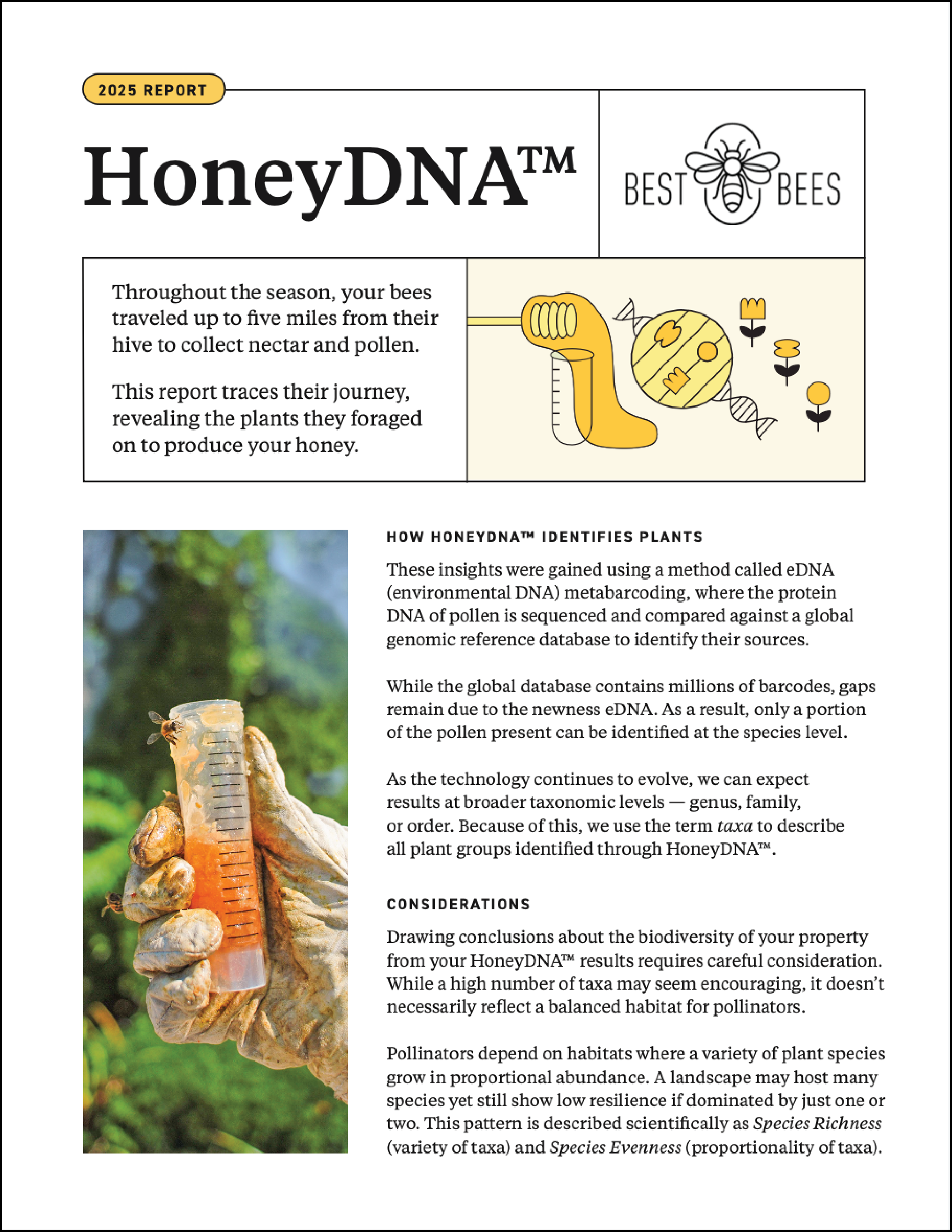 honeydna report