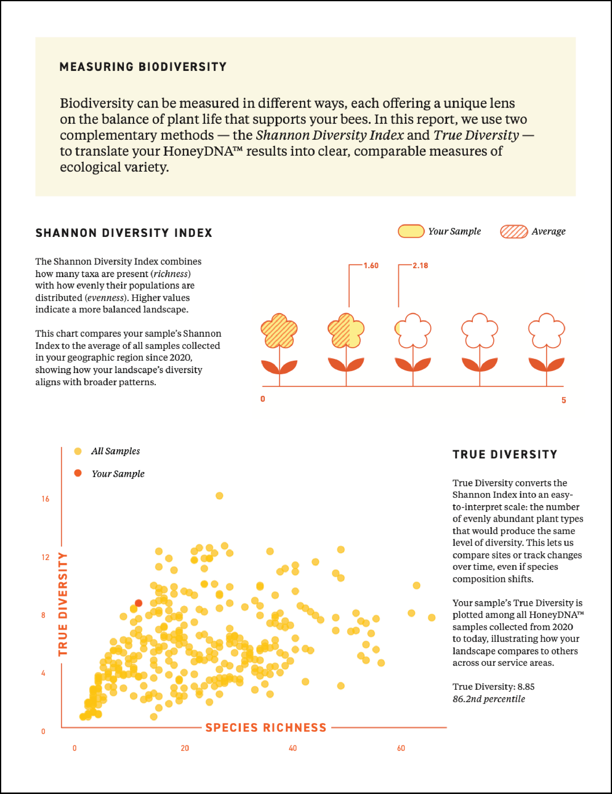 honeydna report